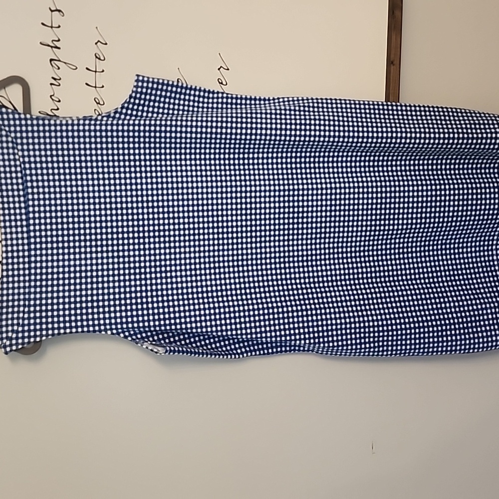Blue Gingham Sleeveless Dress View 4